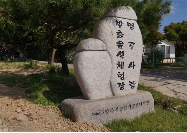 맹골사랑 이미지