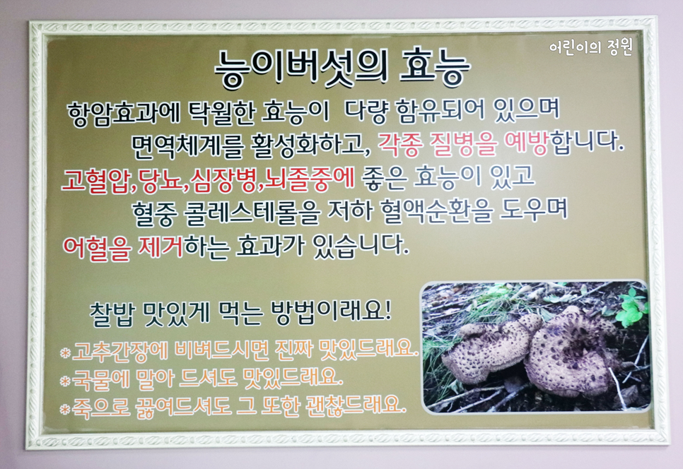 능이명가 이미지
