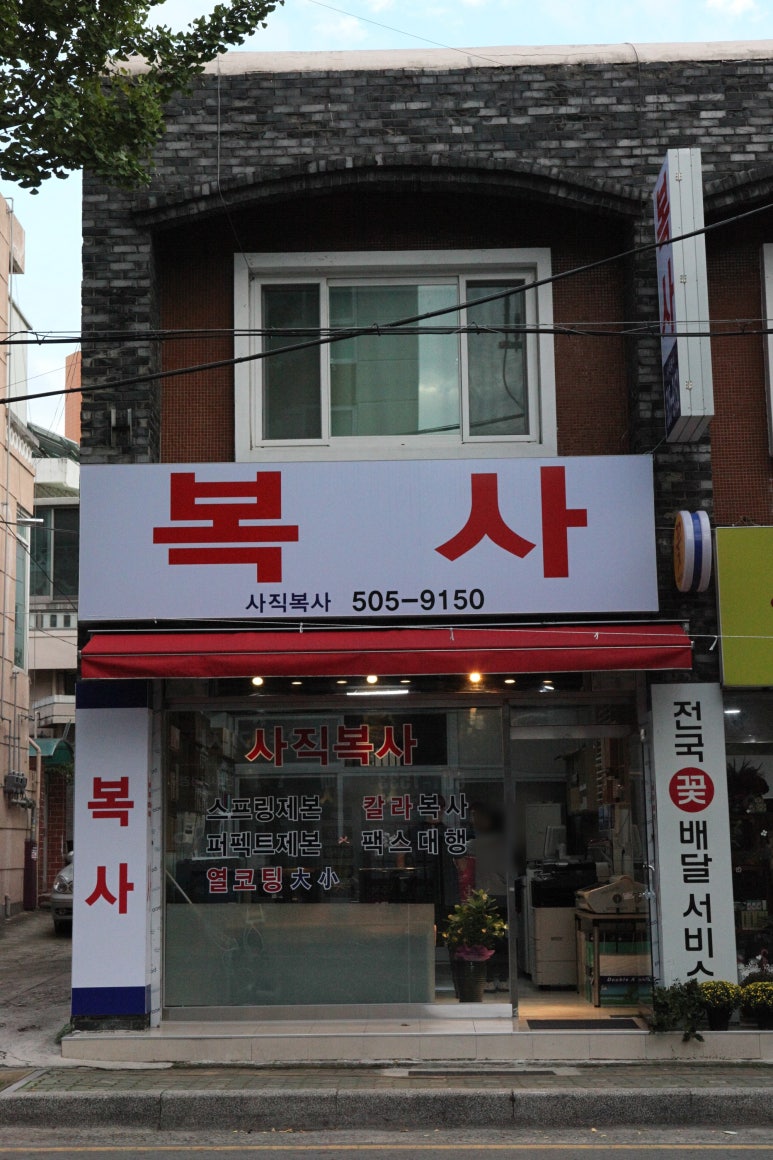 선명복사 이미지