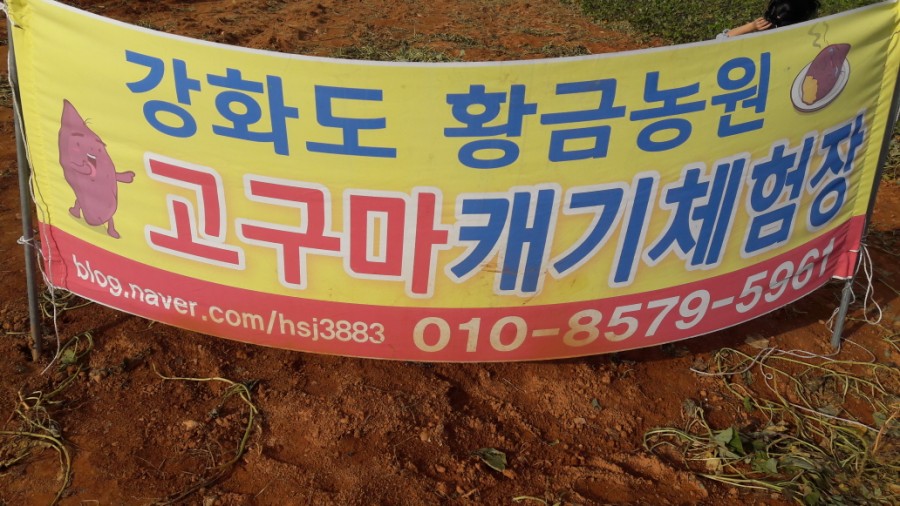 강화도황금농원 이미지