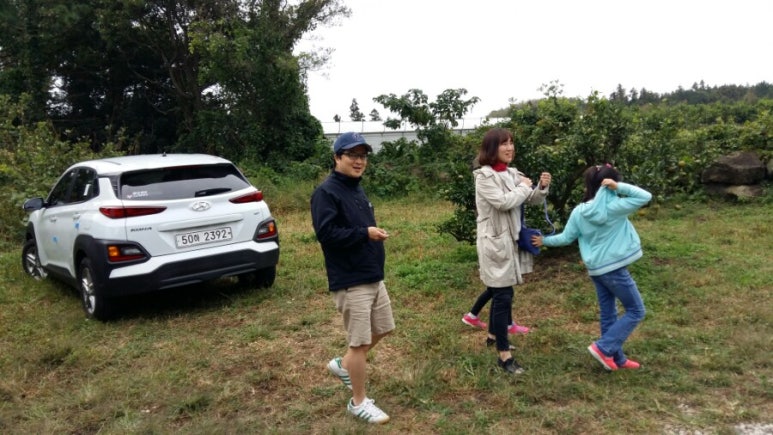 영희네감귤농장 이미지