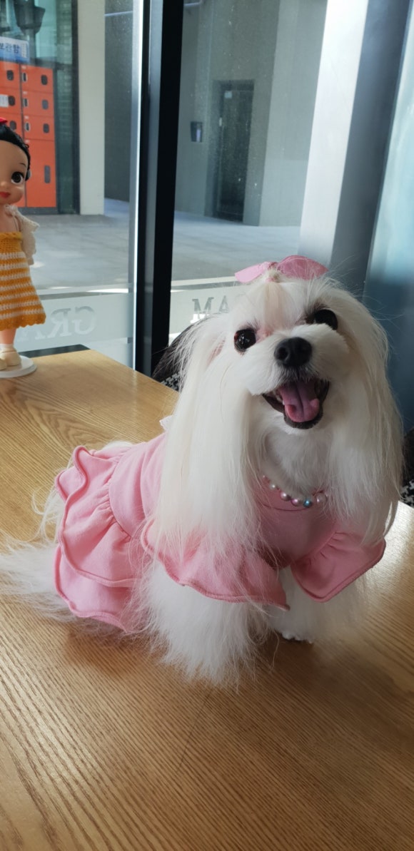 까꿍미용실 이미지