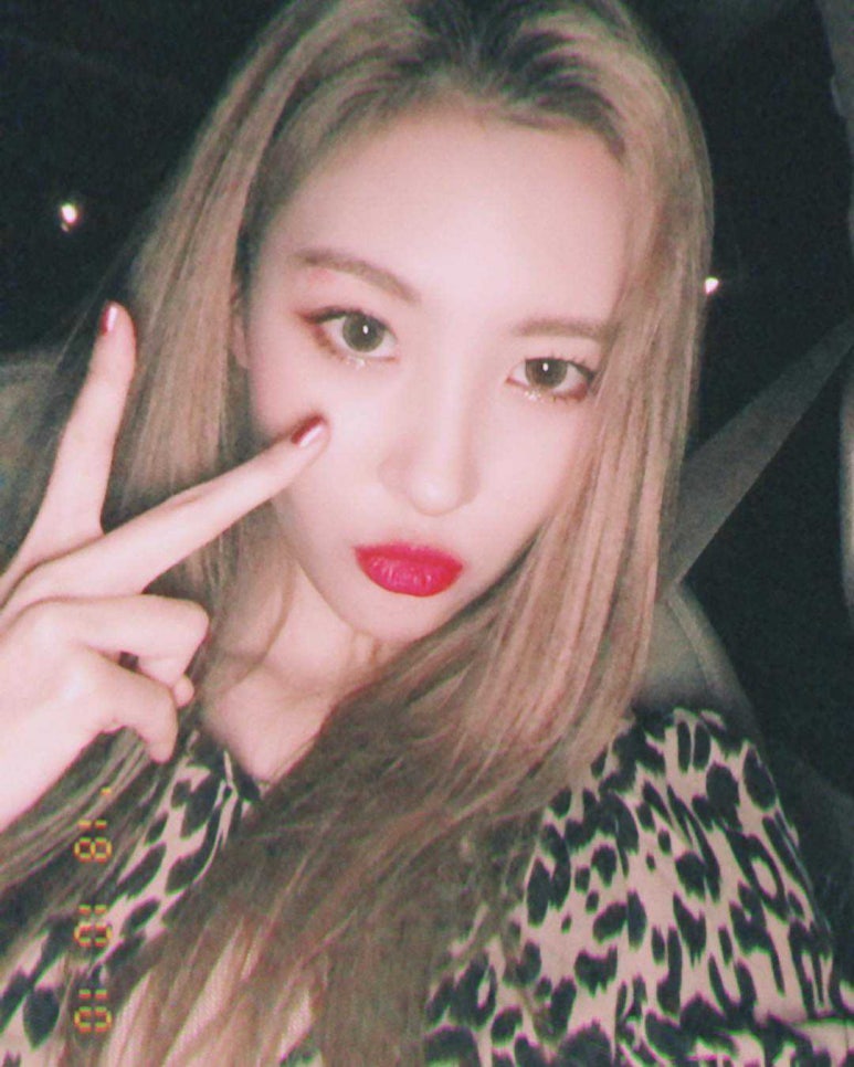 요기따 이미지