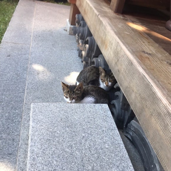 한옥숙박예쁘다 이미지