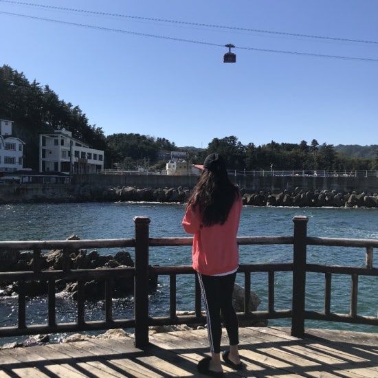장호항펜션바다여울 이미지
