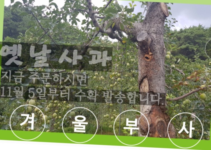 혜영유통 이미지