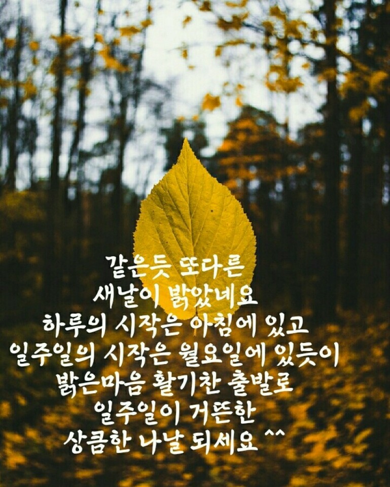 신부초등학교 이미지