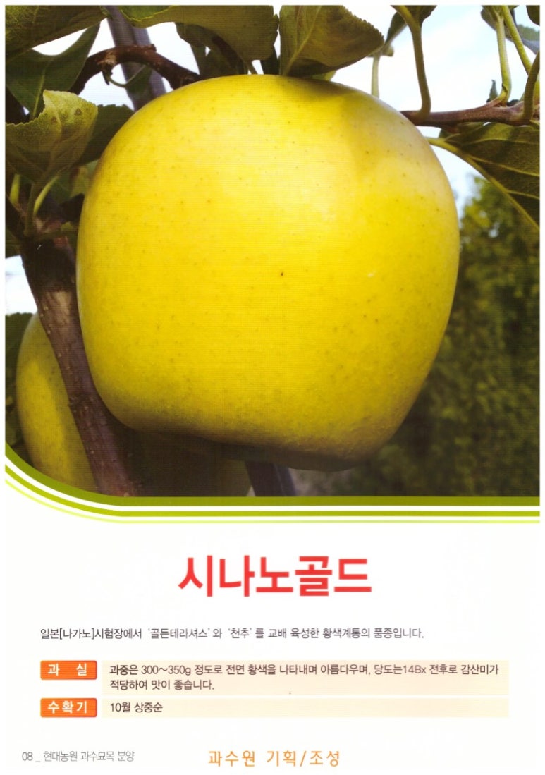 현대농원 이미지