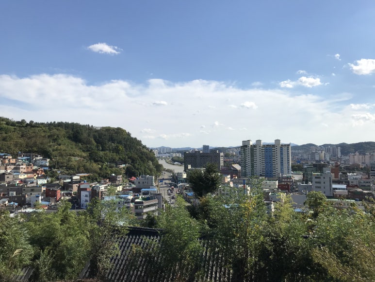 새마을로컬푸드협동조합 이미지