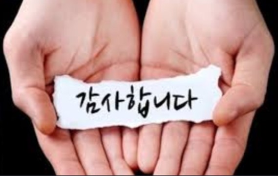 국화네공방 이미지