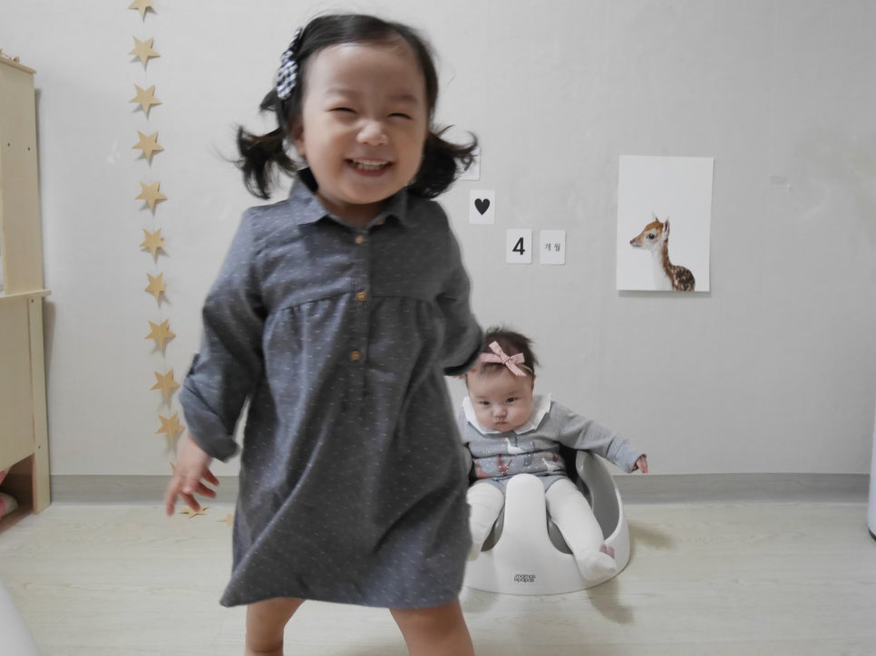 예블리콩 이미지