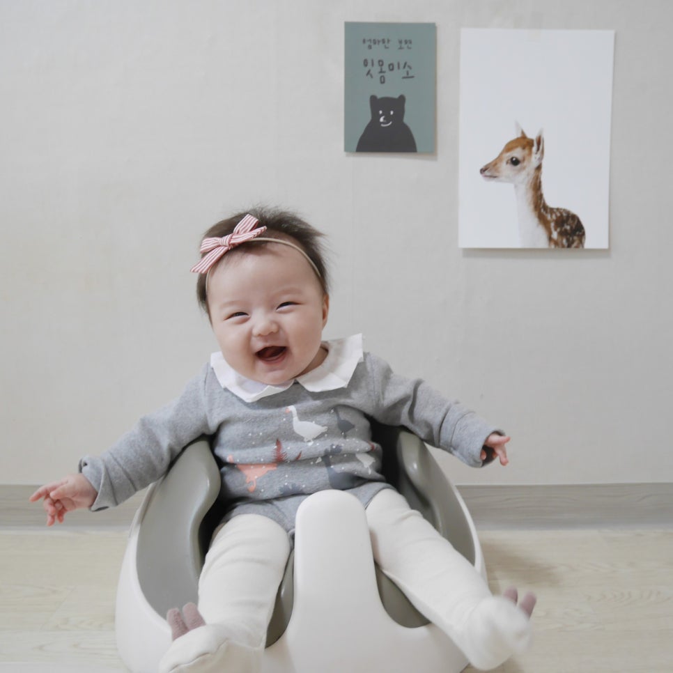 예블리콩 이미지