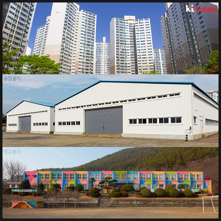 죽림석유 이미지