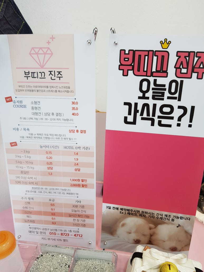 부띠끄진주 이미지