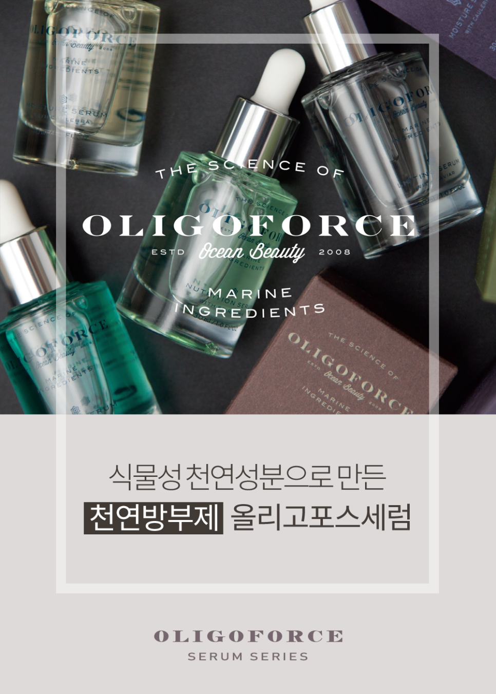 티나뷰티 이미지