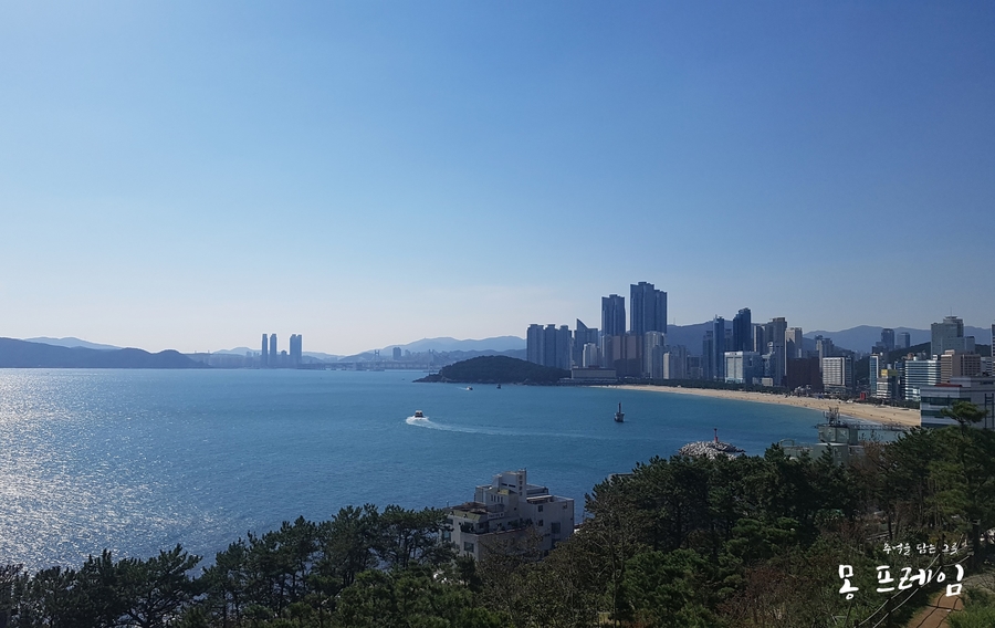 큰바다 대구탕 이미지