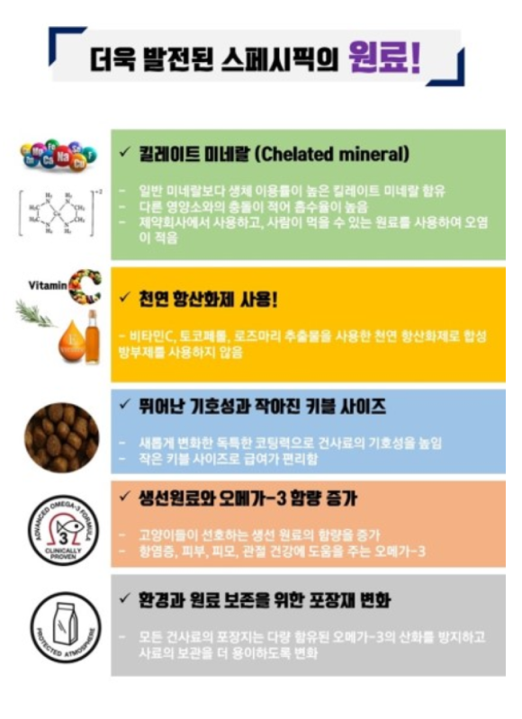 신경FnD 이미지