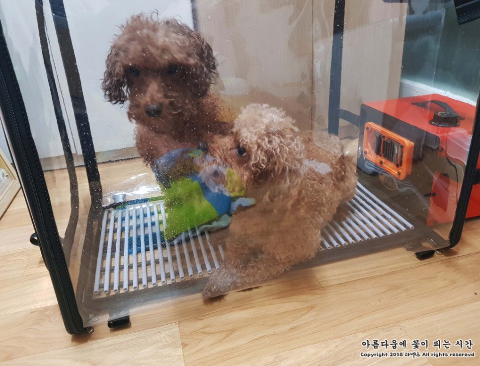 라이닝룸 이미지