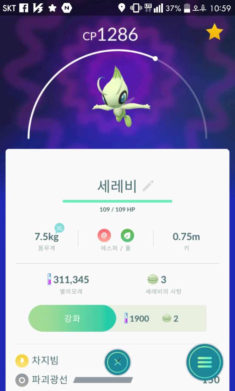 세레비 이미지