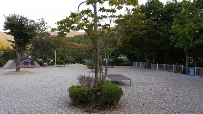 강당골캠핑장 이미지