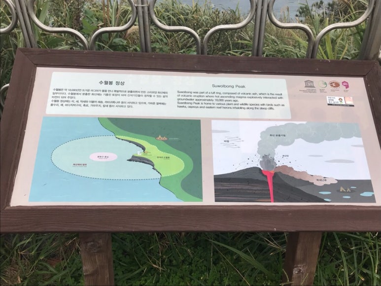 이노꼬 이미지