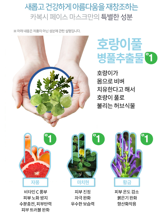 광선사 이미지