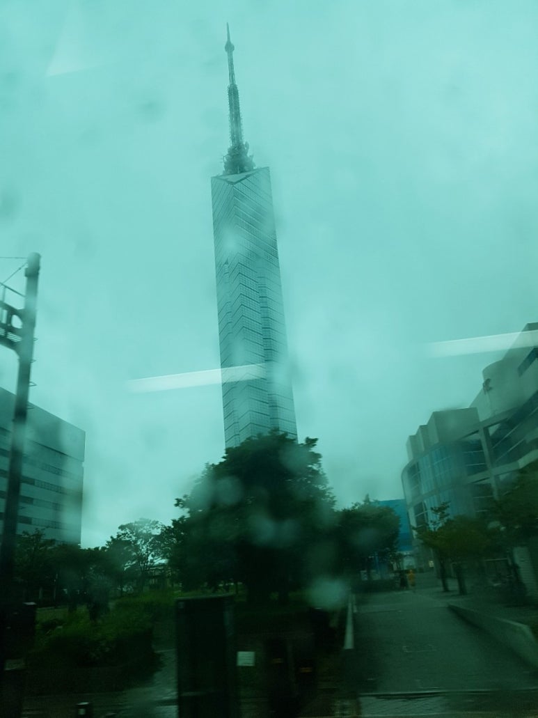 엔스시 이미지