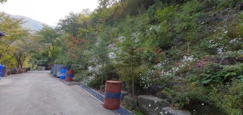 보령토굴젓갈 이미지