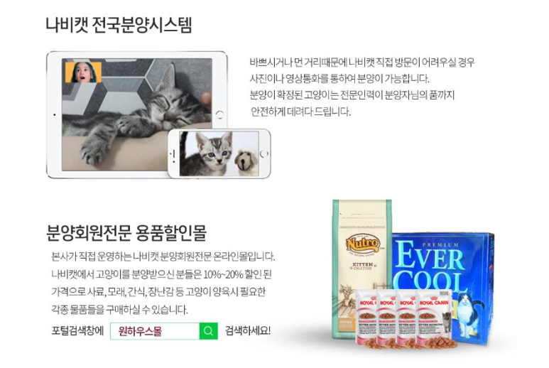 나비그린 이미지