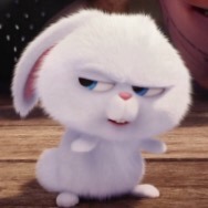 뉴욕커피 이미지