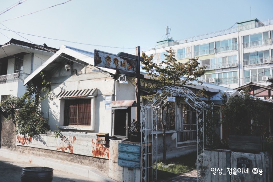 촌장네빈티지 이미지