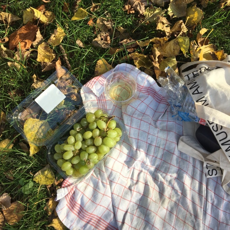 PICNIC(피크닉) 이미지