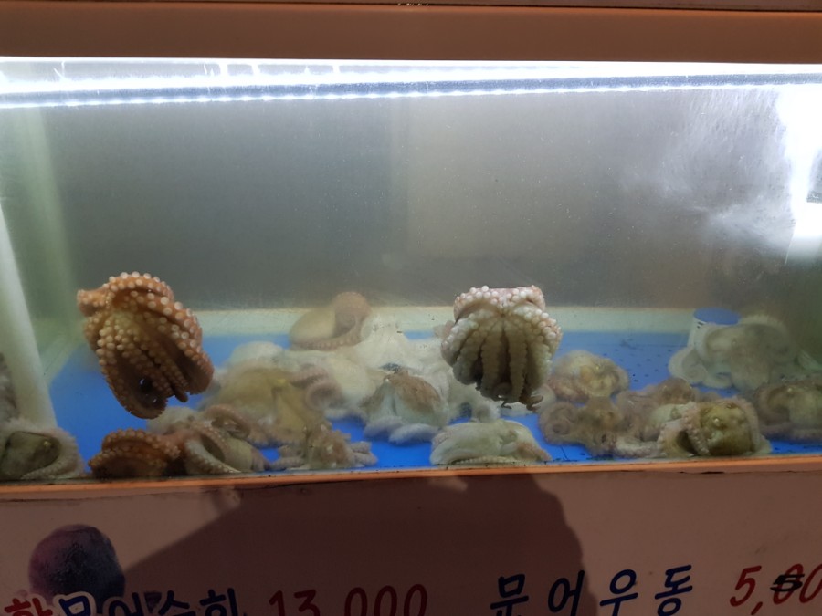 해풍월 이미지