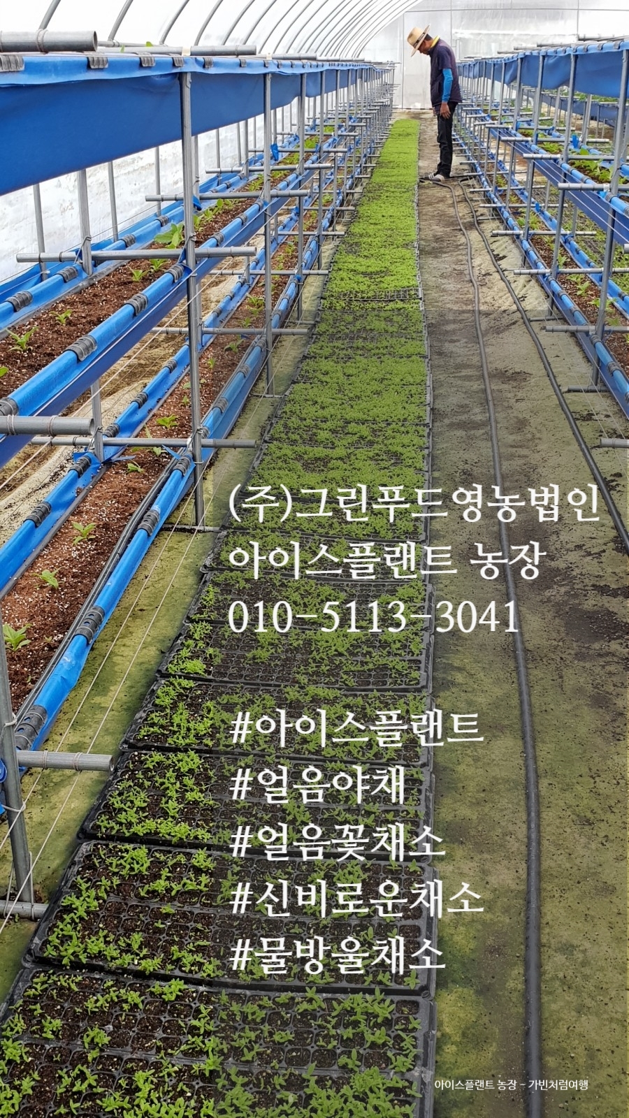 (주)종일푸드 이미지
