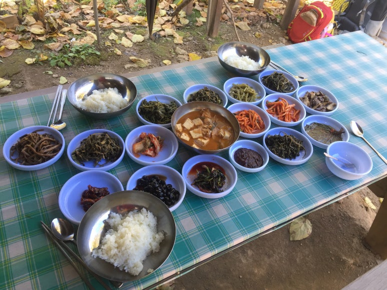 화천에코스쿨 생태체험장 이미지