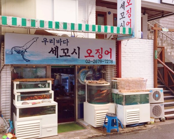 오징어와세꼬시 이미지