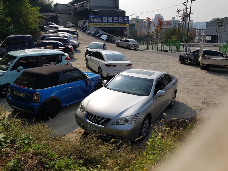 신의손덴트 이미지