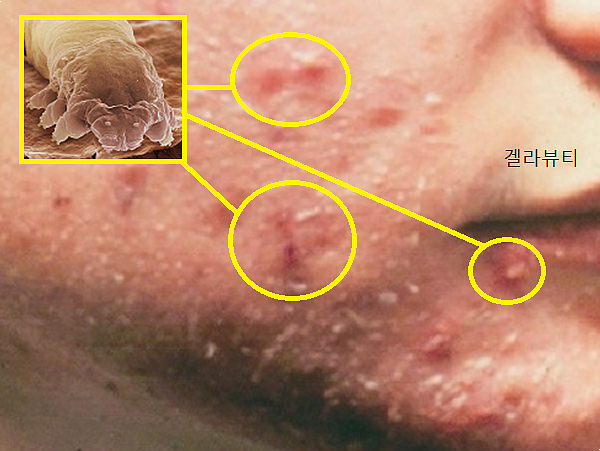 마켓폼 이미지
