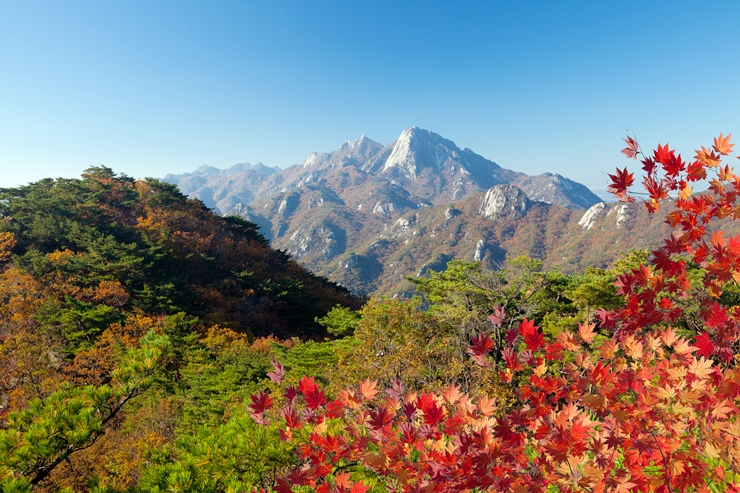 광주바로병원 이미지