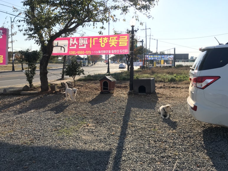 물가펜션민박 이미지