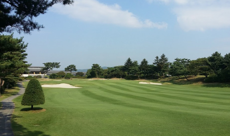 동포제일 이미지