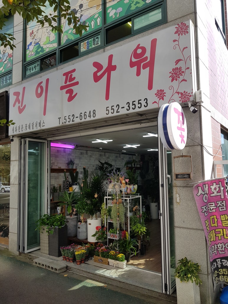 진이플라워 이미지