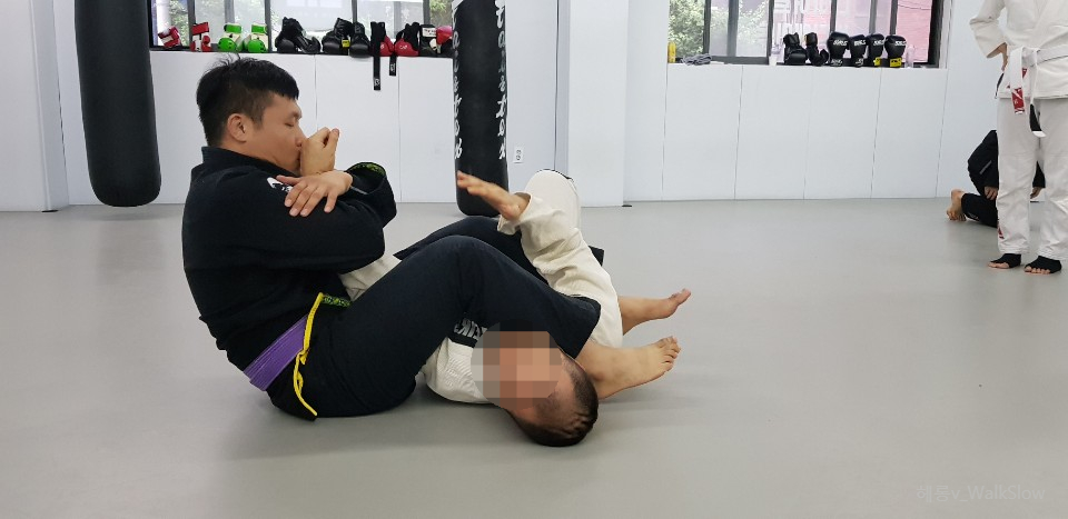 라이프짐MMA 이미지