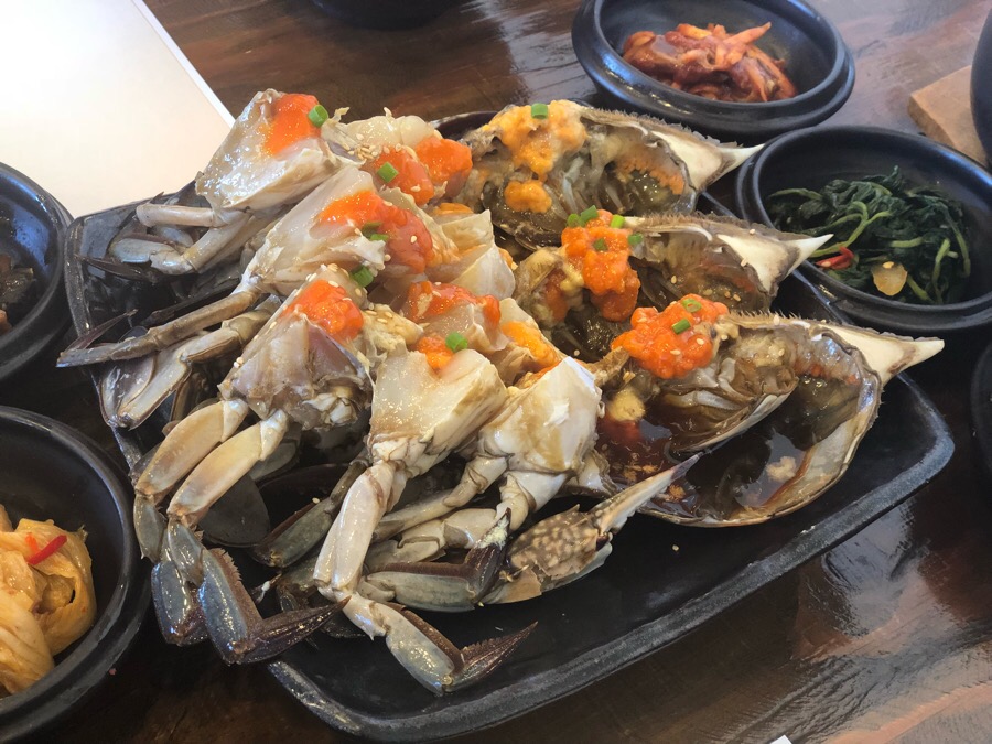 (주)팜파스 이미지