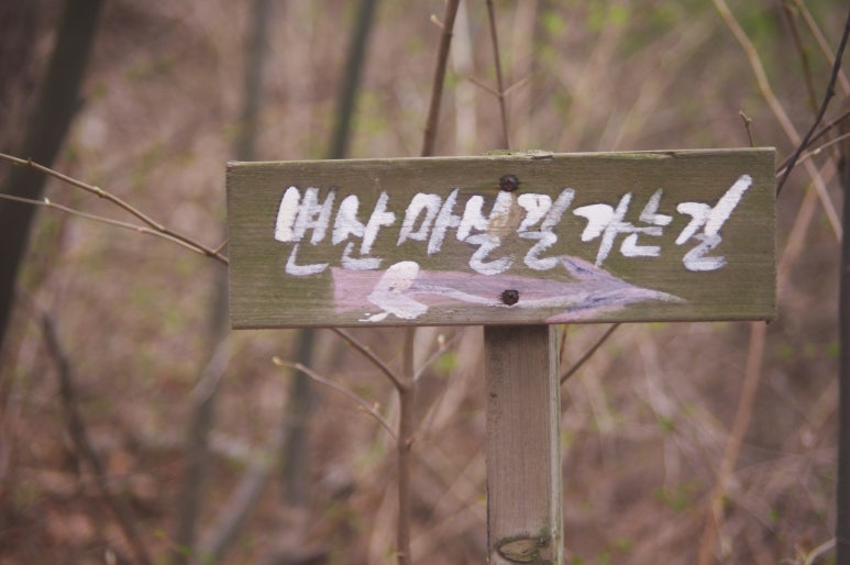 남도마실길 이미지