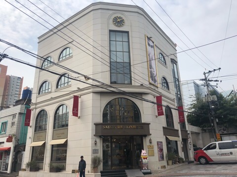 살롱드발레학원 이미지