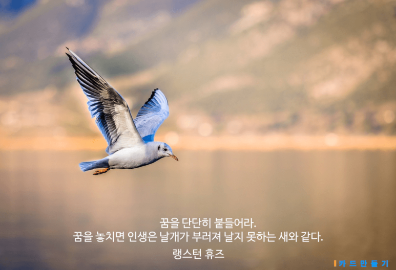 인생날개 이미지