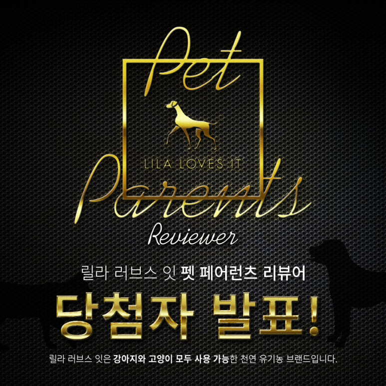 페어런츠 이미지