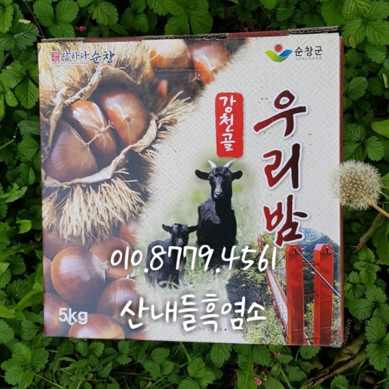 좋은밤 이미지