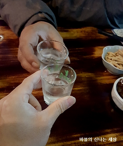 정원복돼지 이미지